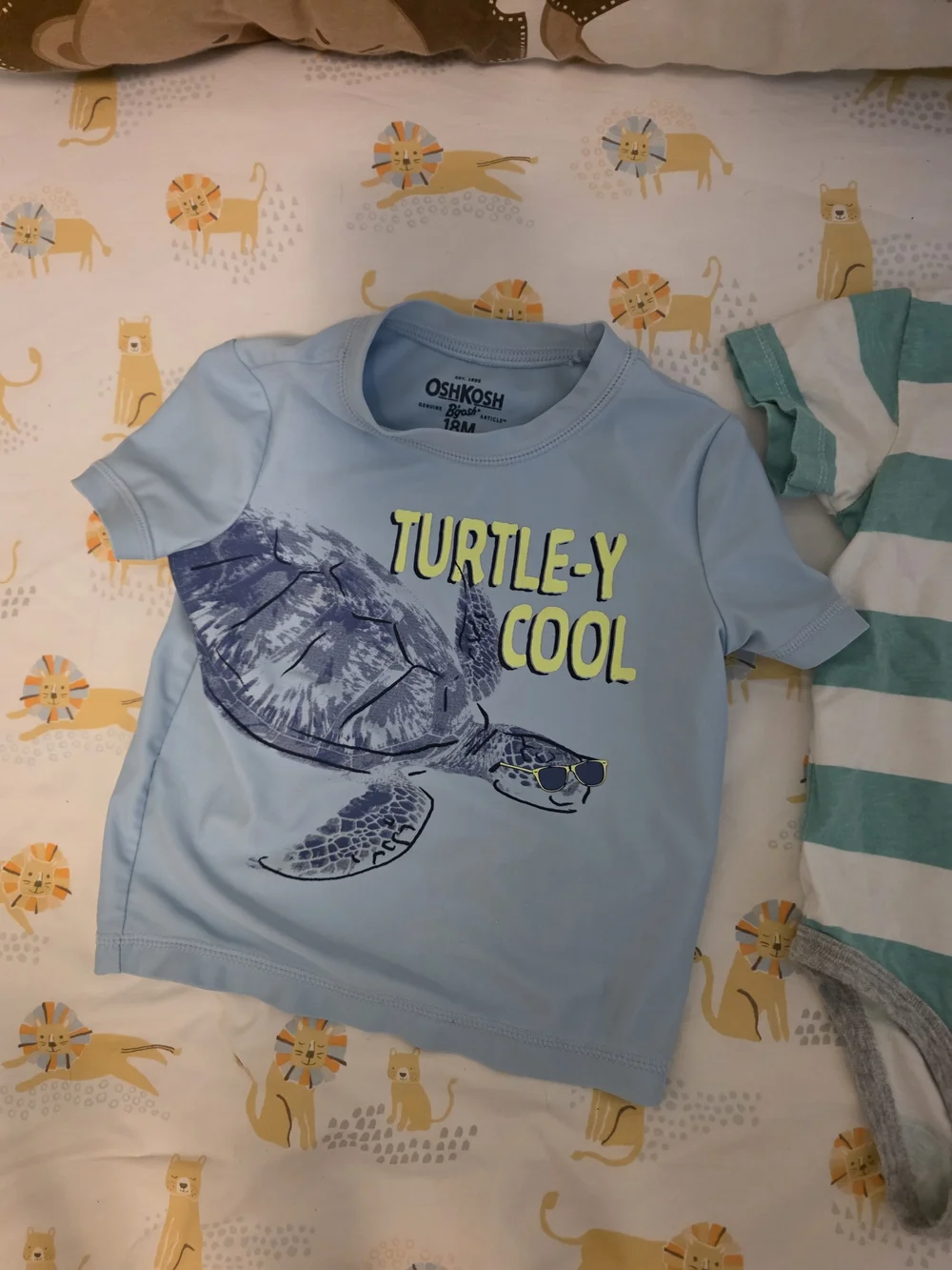 12-18 Month Bundle